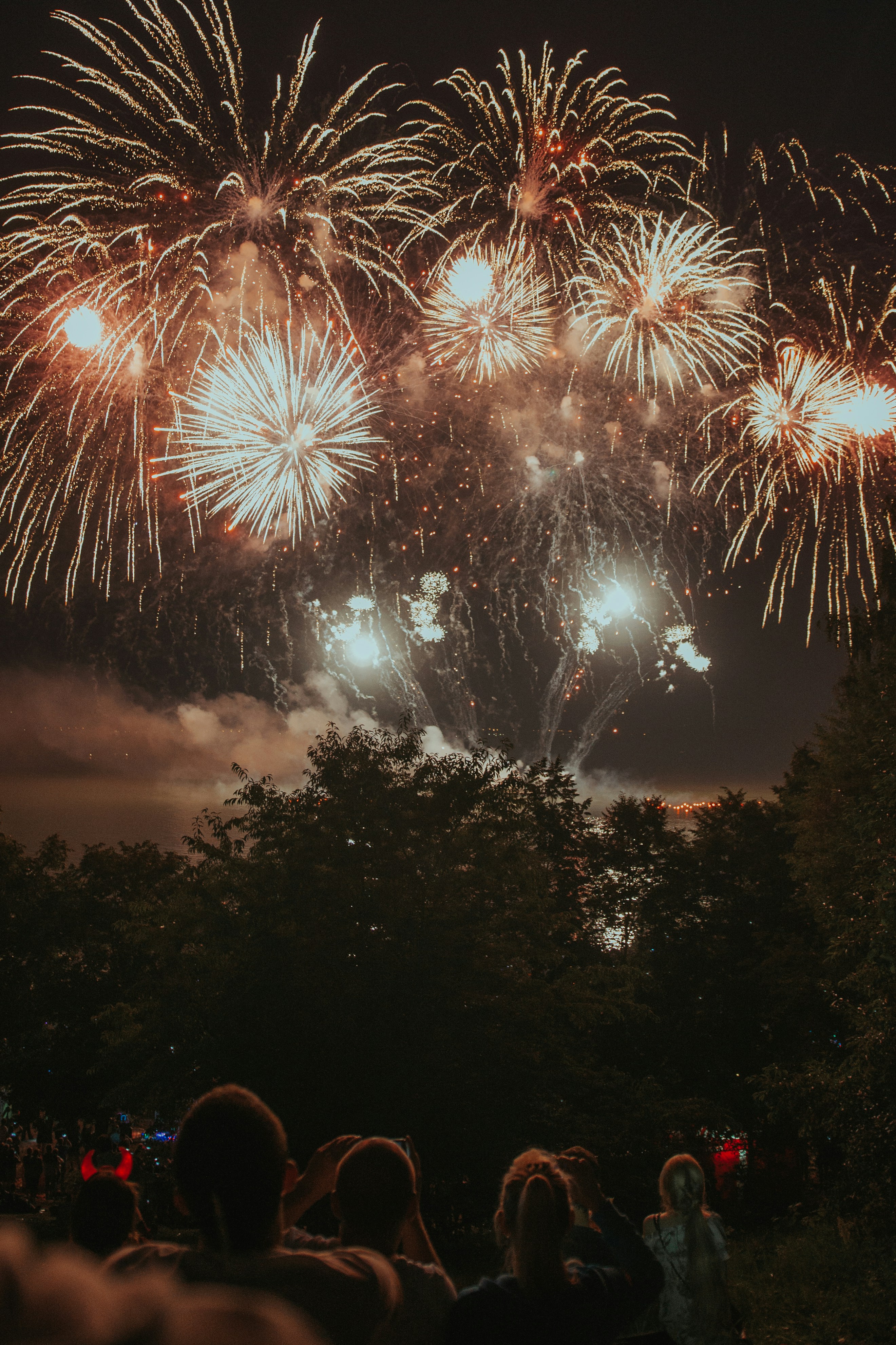 Professional fireworks display